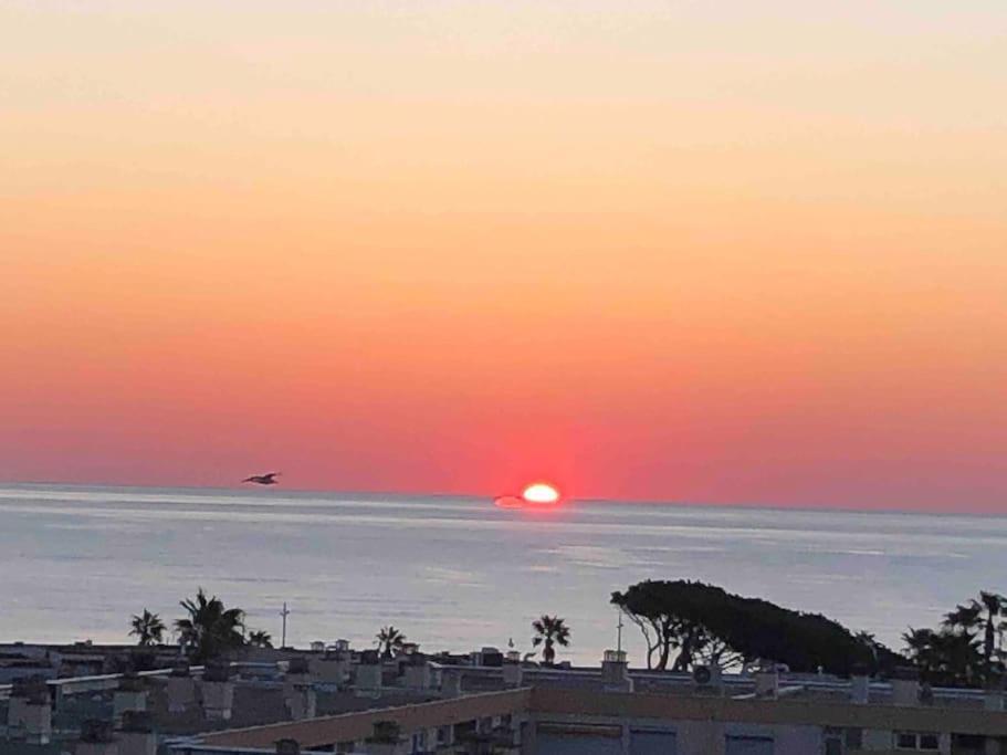 Appartement Vue Mer Au Lavandou เลอลาวองดูว์ ภายนอก รูปภาพ